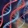 Genetic Modification and Human Ontology